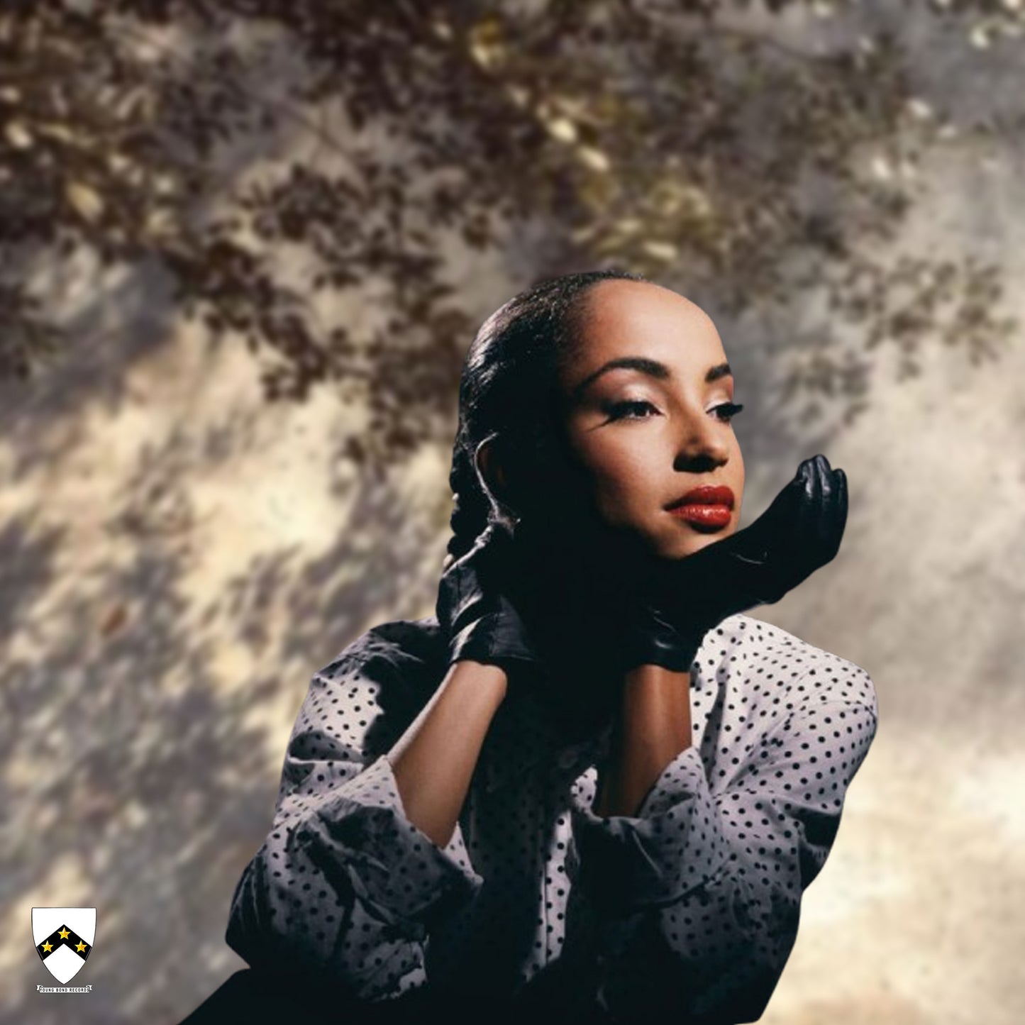 Sade - King Of Sorrow Hip Hop Trap RnB Type Beat Instrumental 90s Songs Late Night Remix 2026 (Free Download)